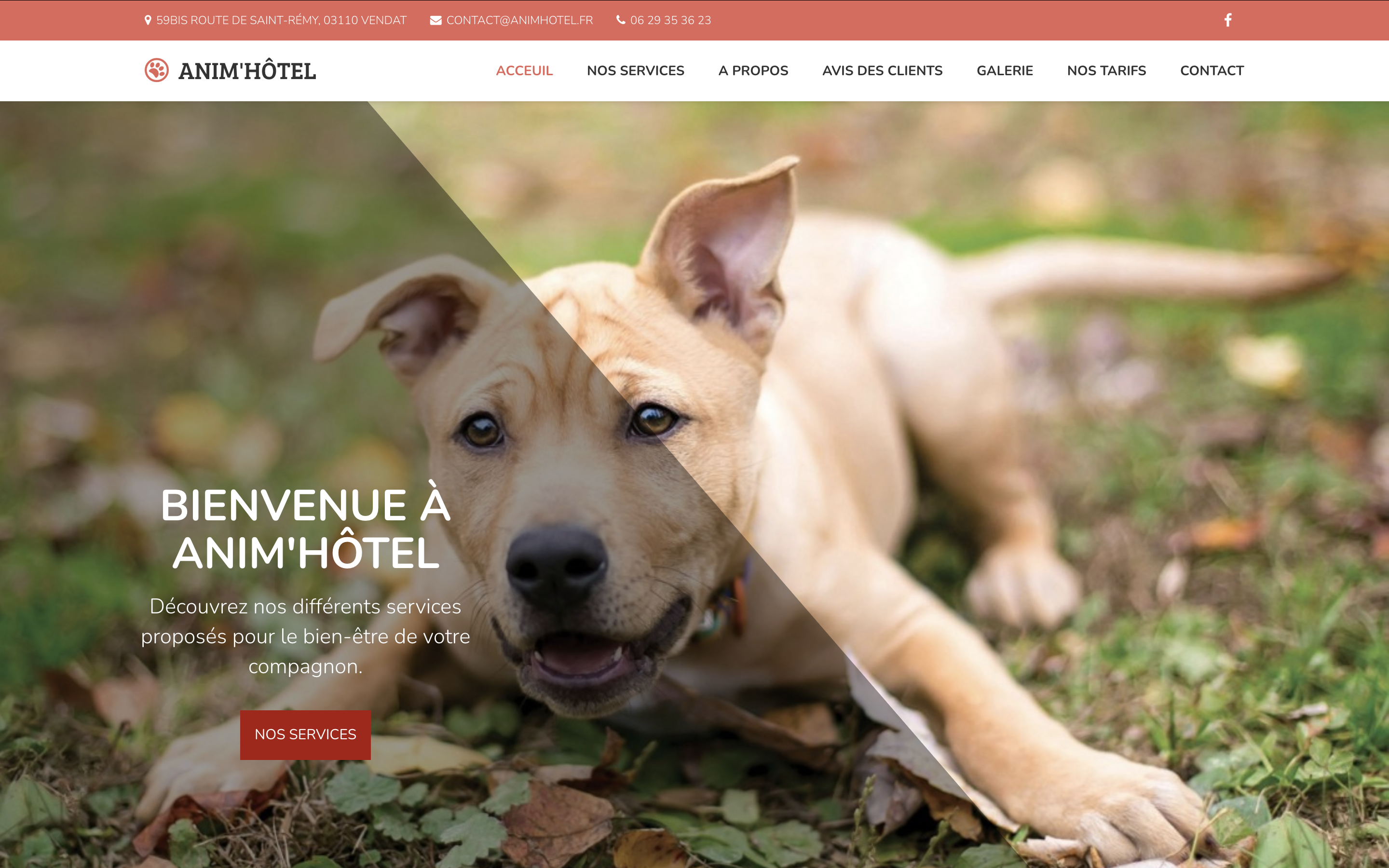 Anim'Hotel